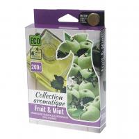 Ароматизатор воздуха FTE-CA-32 COLLECTION AROMATIQUE (fruit&mint) под сиденье 200гр FOUETTE /1/40
