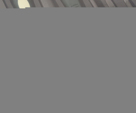Набор напильников RF-5056N разнопрофильных 10 пр.(плоский, треугольный, круглый, полукруглый, квадратный, L-185мм,L-325мм) ROCKFORCE /1